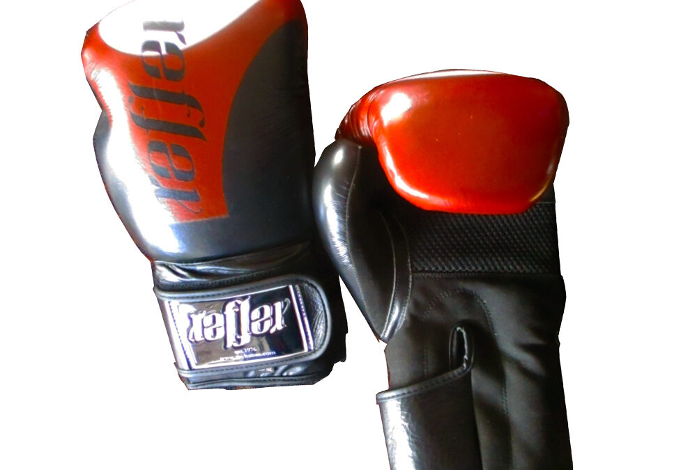 Boxing Glove Deluxe  Leather – 12oz